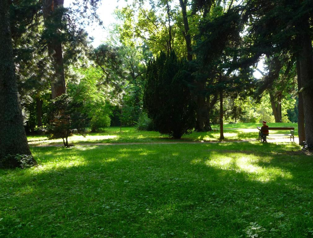 Streetview - Premium Beim Belvedere * Viena