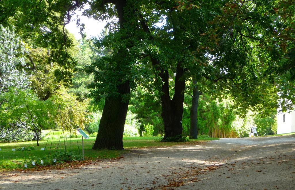 Appartamento Streetview - Premium Beim Belvedere