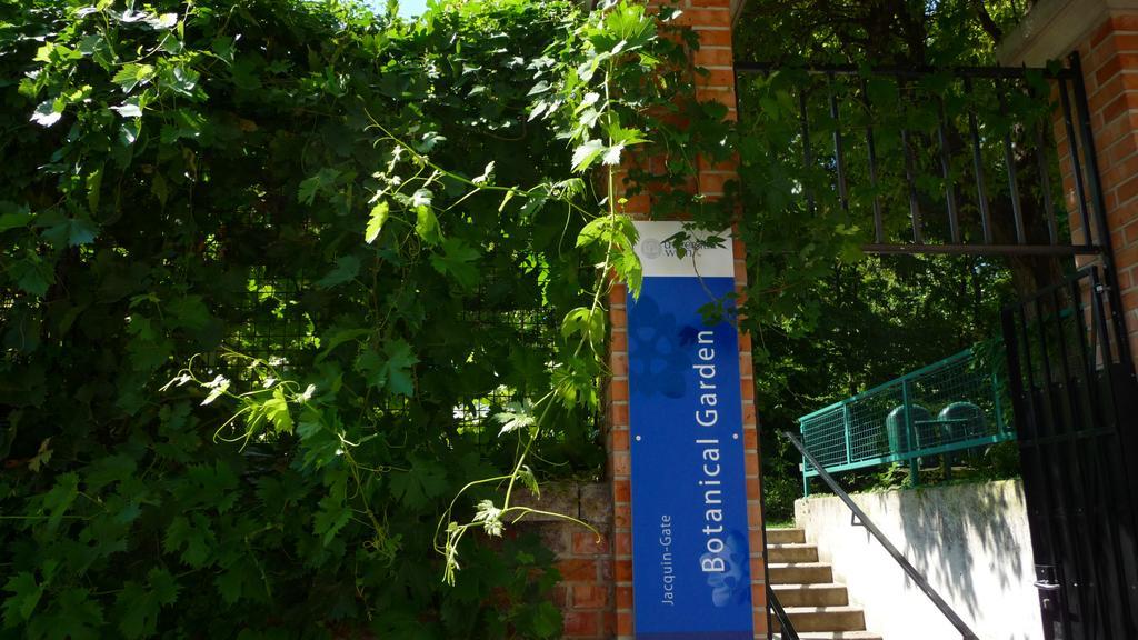 Streetview - Premium Beim Belvedere Appartamento